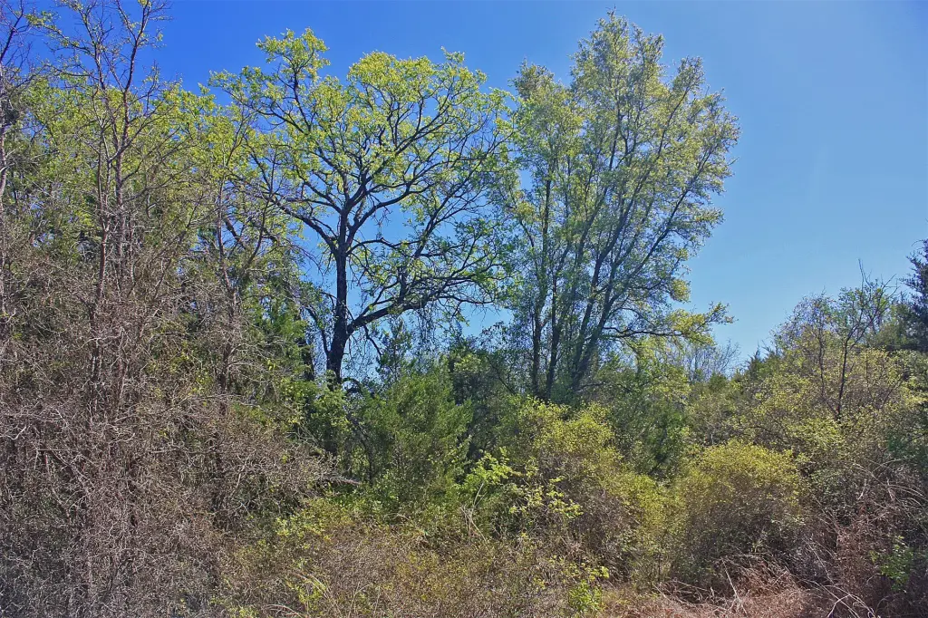 Picture 12