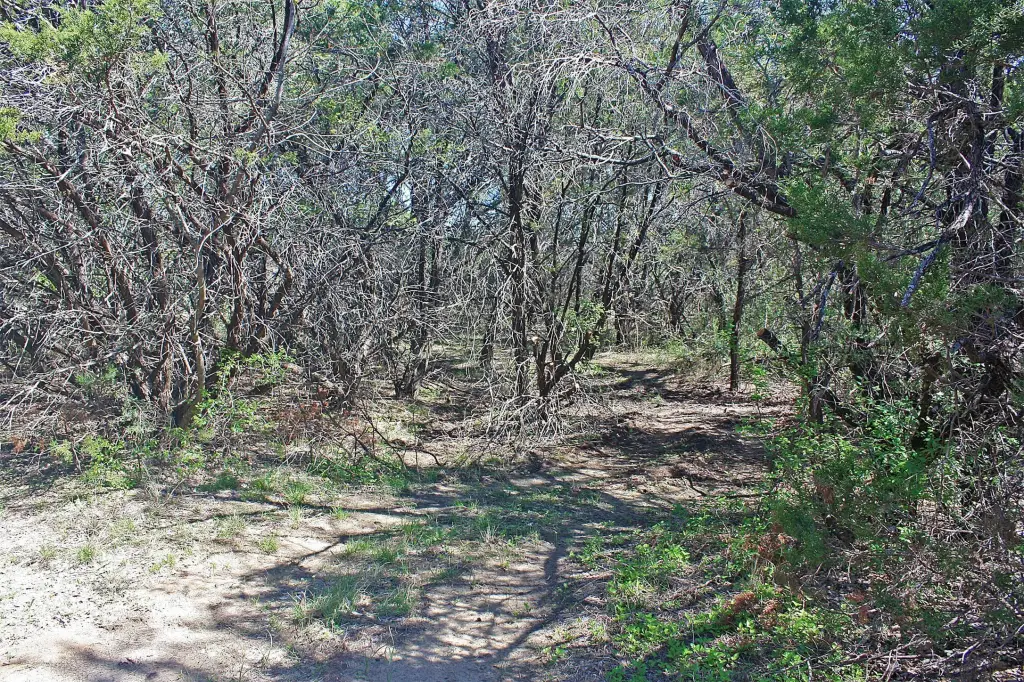 Picture 14
