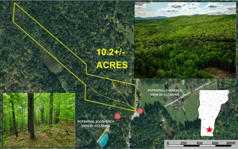 Wooded Land in Jamaica, VT