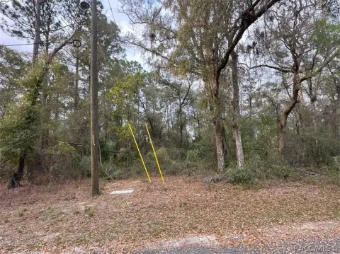 Residential Land in Inverness, FL