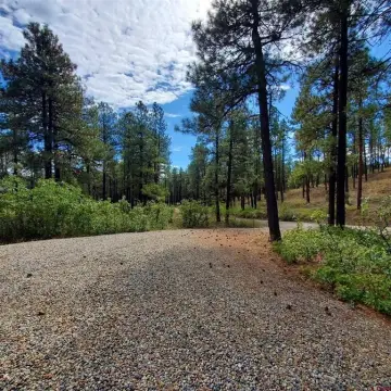 Residential Land in Bayfield, CO