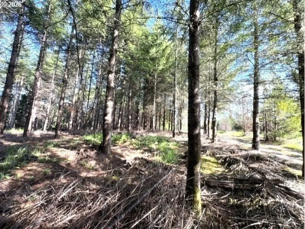Picture 19
