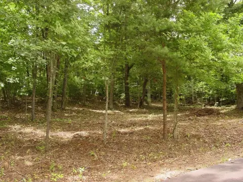 Lake Access Lot in Hiawassee