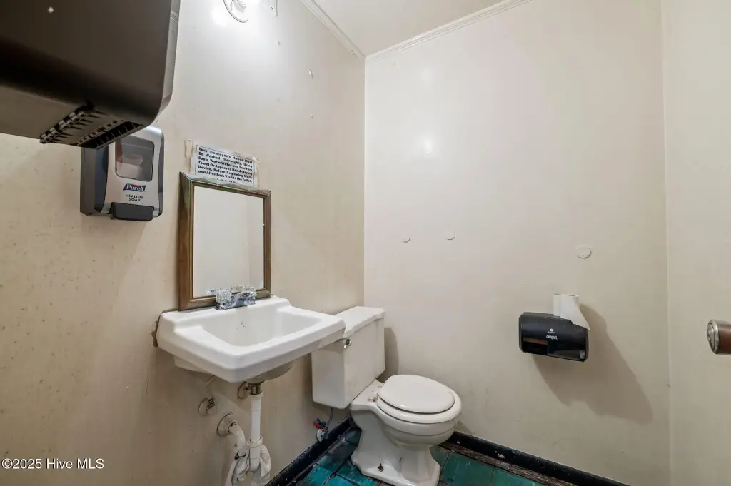 Picture 23