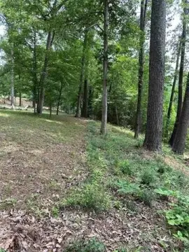 Waterfront Land on Toledo Bend