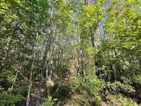 Residential Land in Rayburn Country