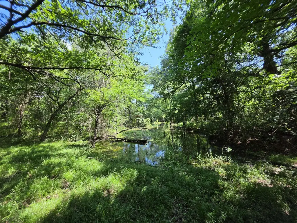 Picture 31