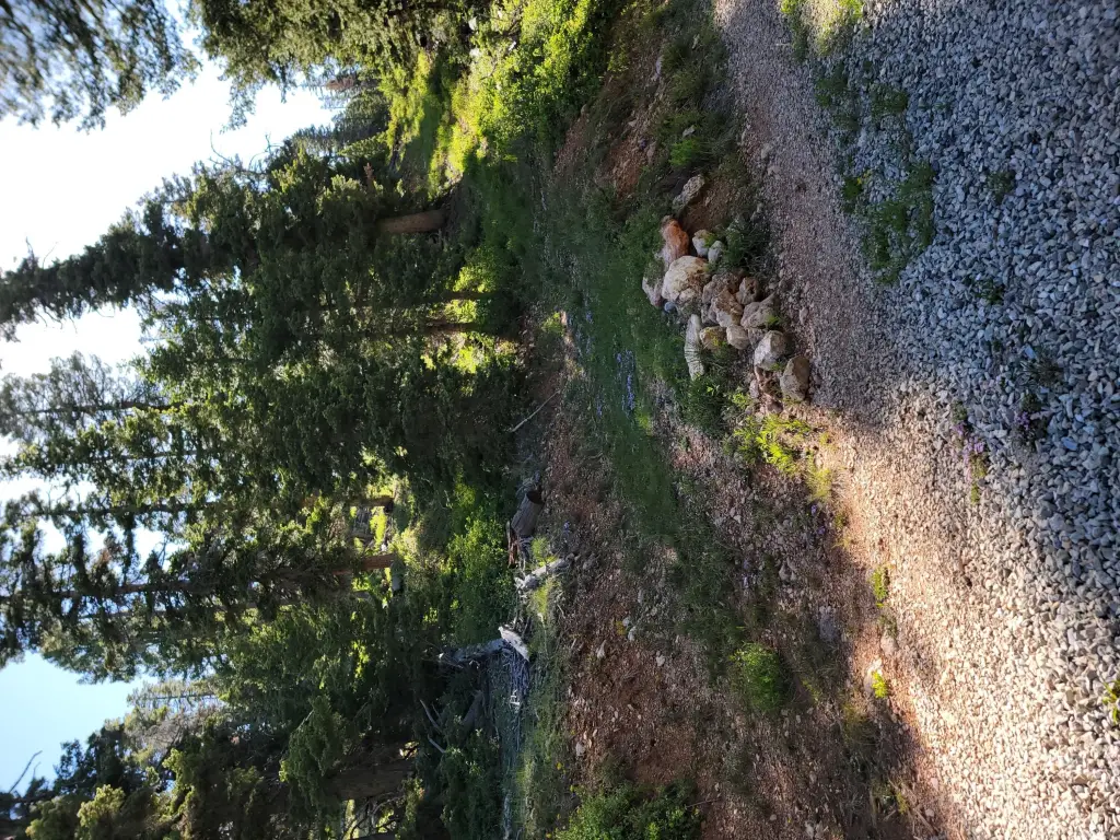 Picture 19