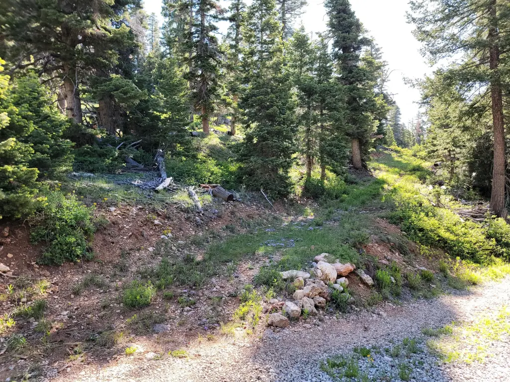 Picture 18