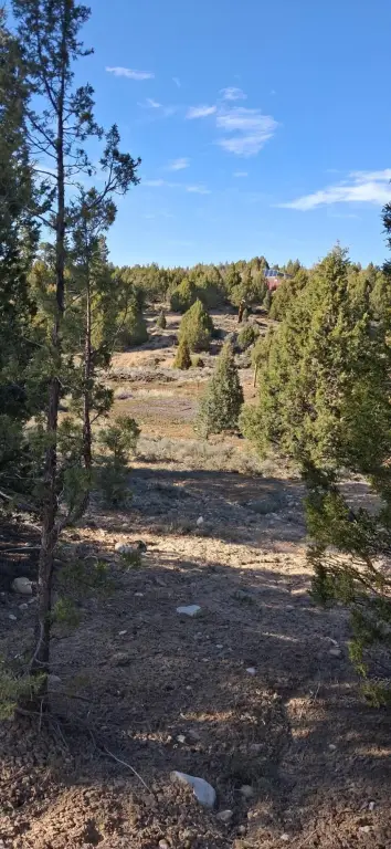 Picture 7