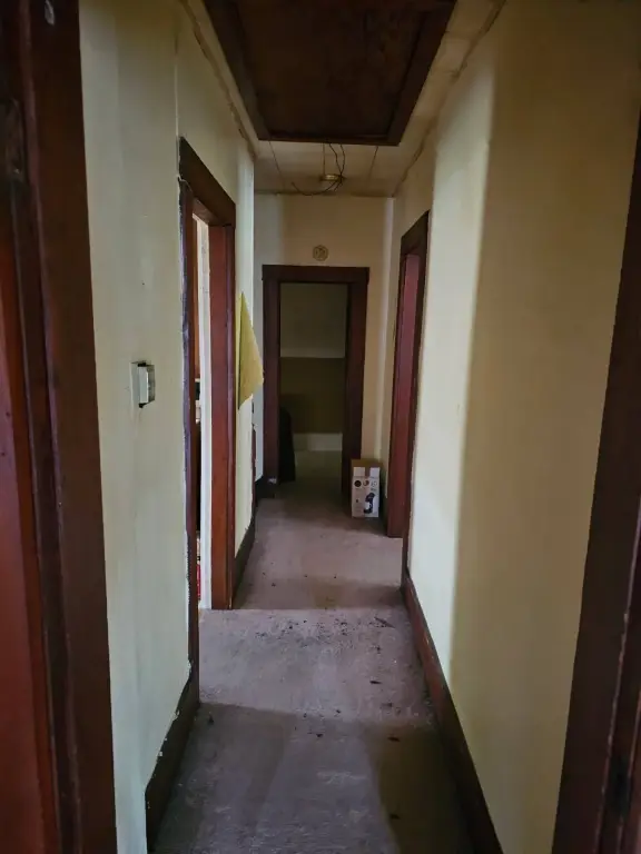 Picture 24