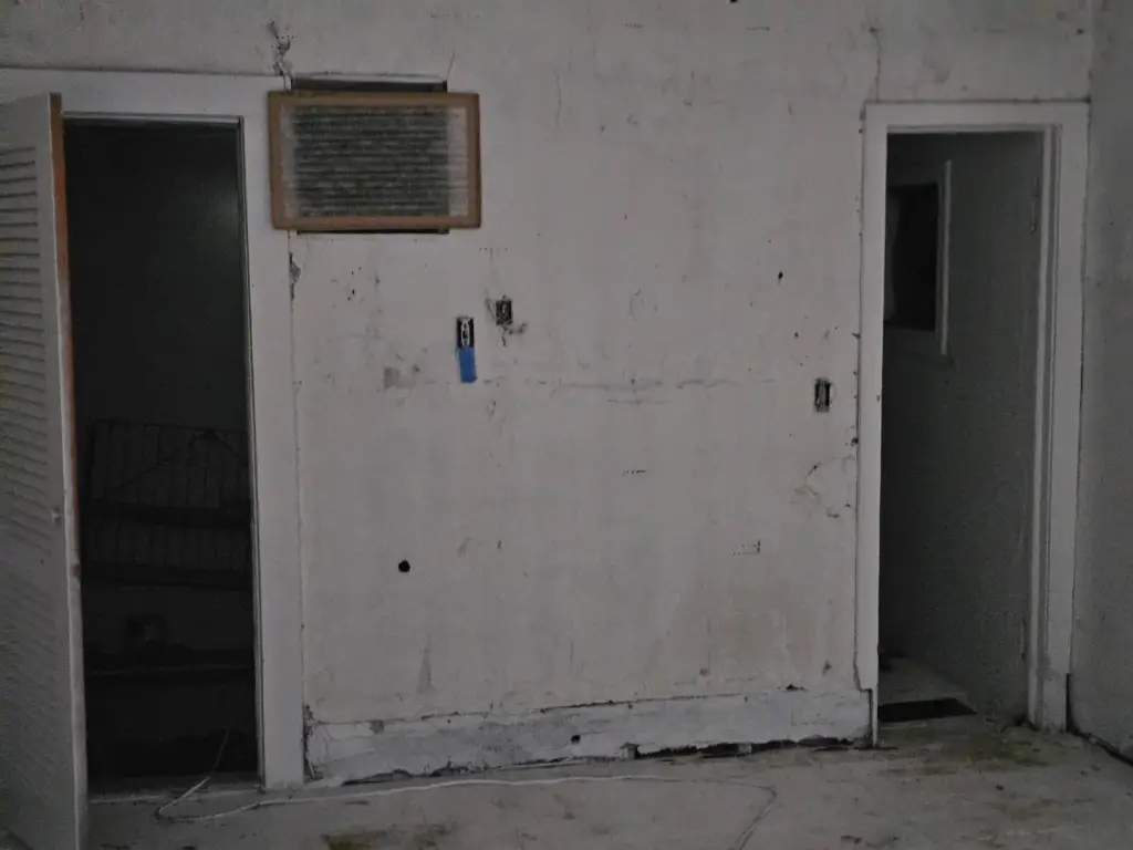 Picture 11