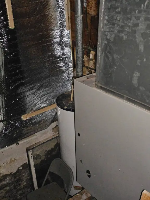 Picture 30