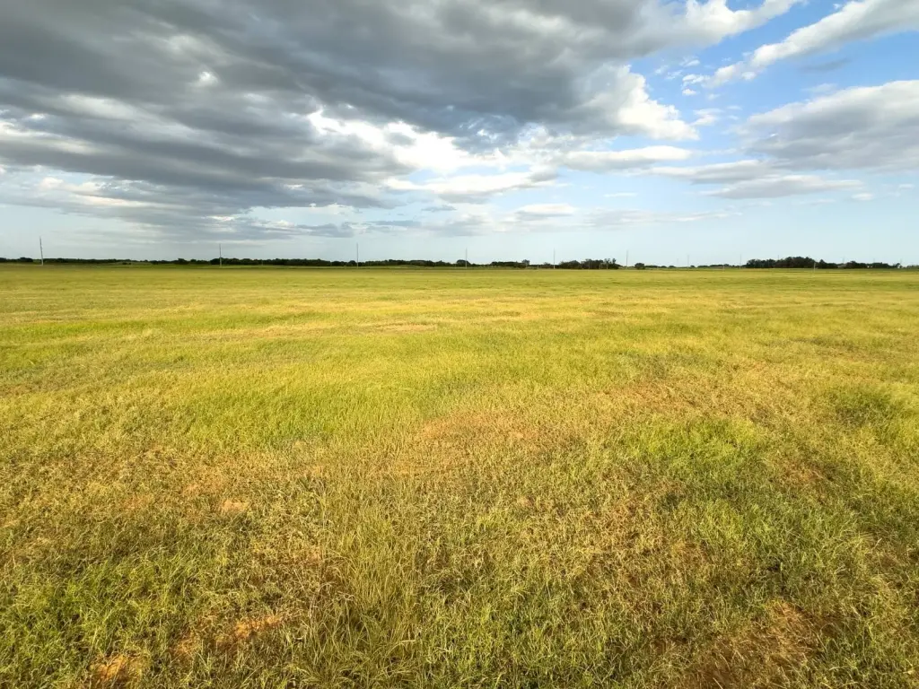 Picture 28