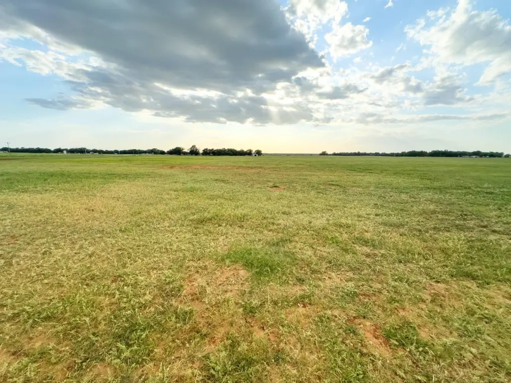 Picture 24