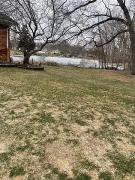 Waterfront Land on Lake Neva