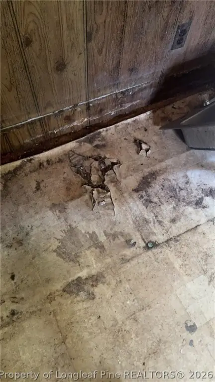Picture 27