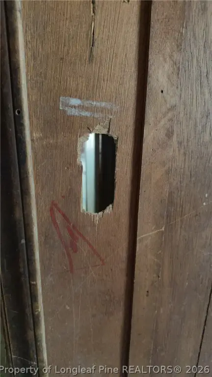 Picture 17