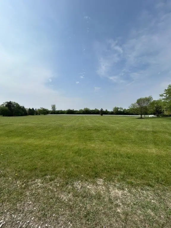 Picture 3