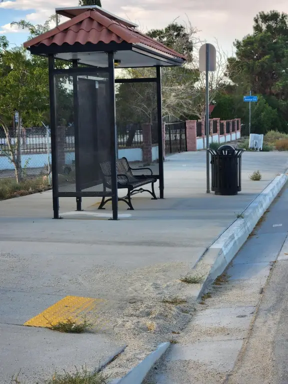 Picture 6