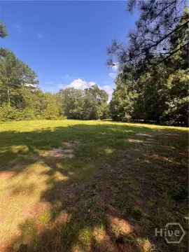 Wooded Hunting Tract with Road Access