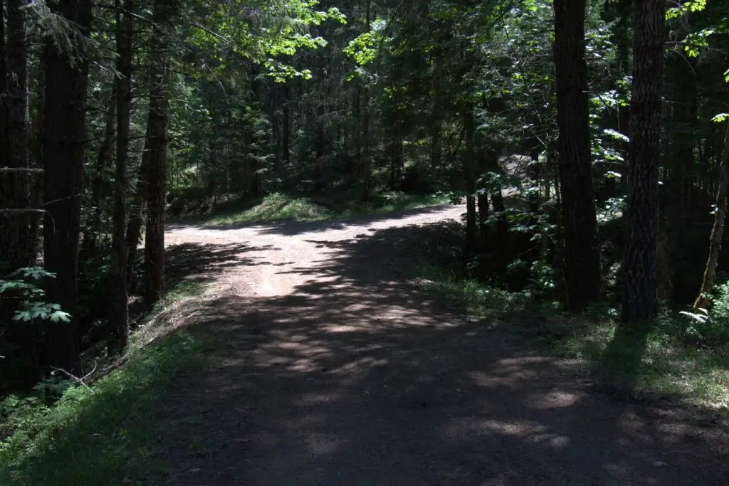 Picture 30