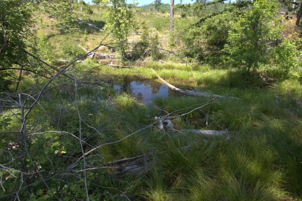 Picture 9