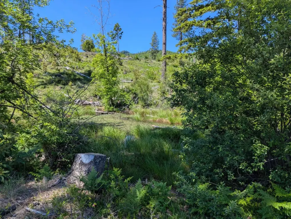Picture 43