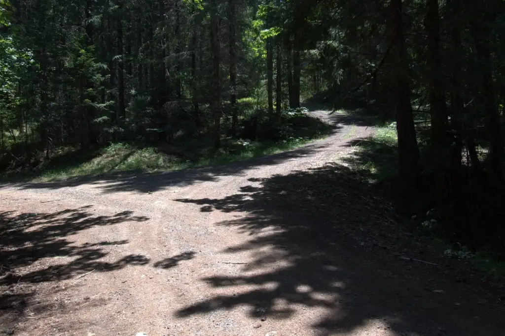 Picture 31
