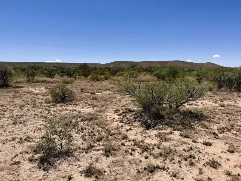 Hunting Land with Water Trough