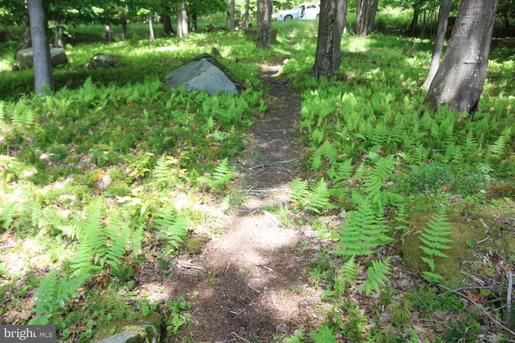 Picture 34