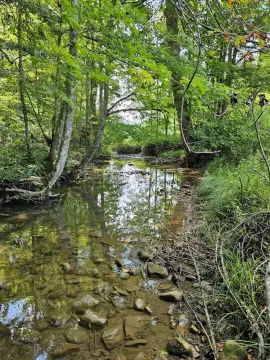 Greenville, WV Vacant Land