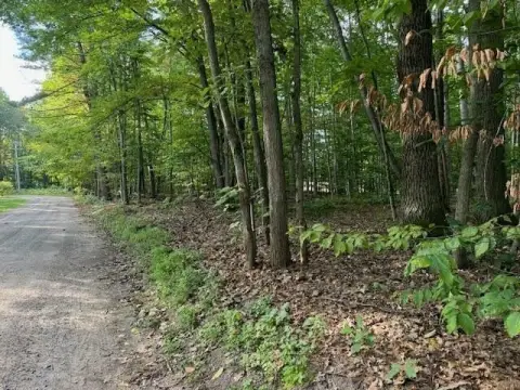 Wooded Lot Near South Perch Lake