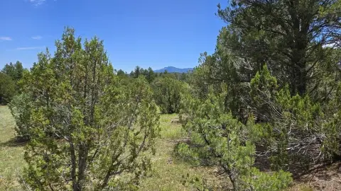Land in Colorado Mountain Lake