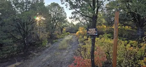 Montrose Homesite with Mountain Views