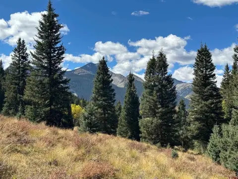 Mountain Land Near Animas River
