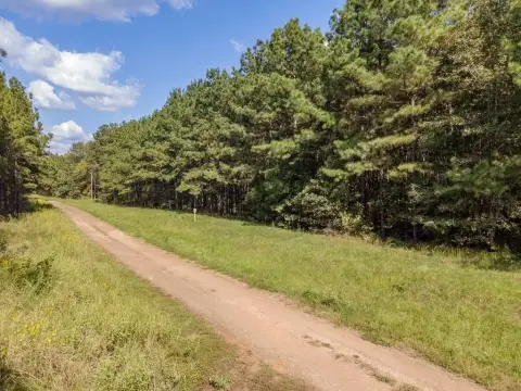 Land in San Augustine, TX