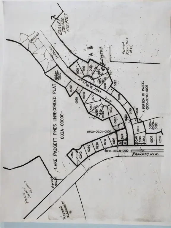 Picture 18