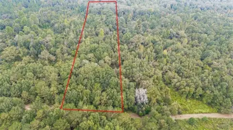 Oglethorpe Land Opportunity