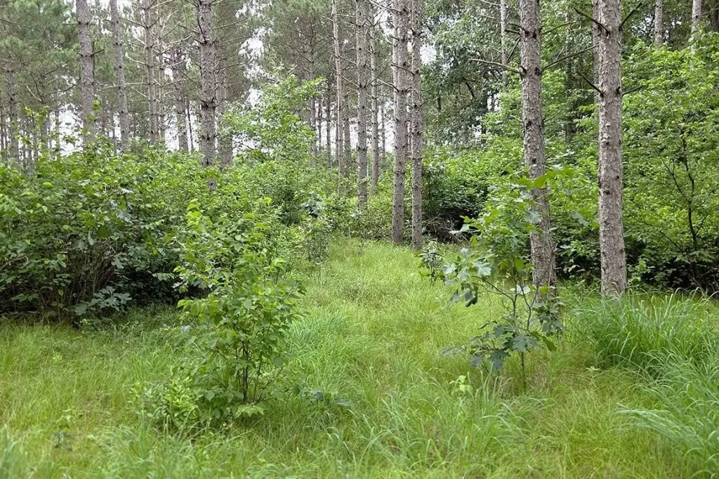 Picture 6