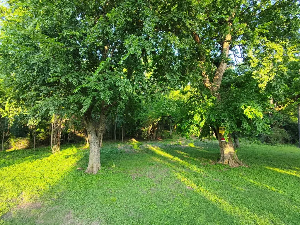 Picture 8