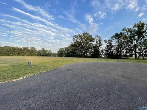 Waterfront Lot in Southside, AL