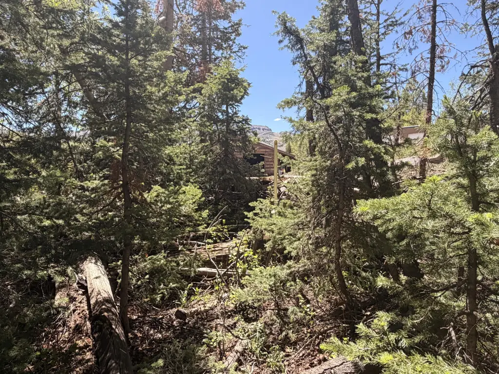 Picture 23