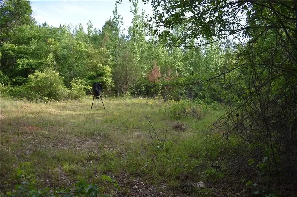 Picture 4