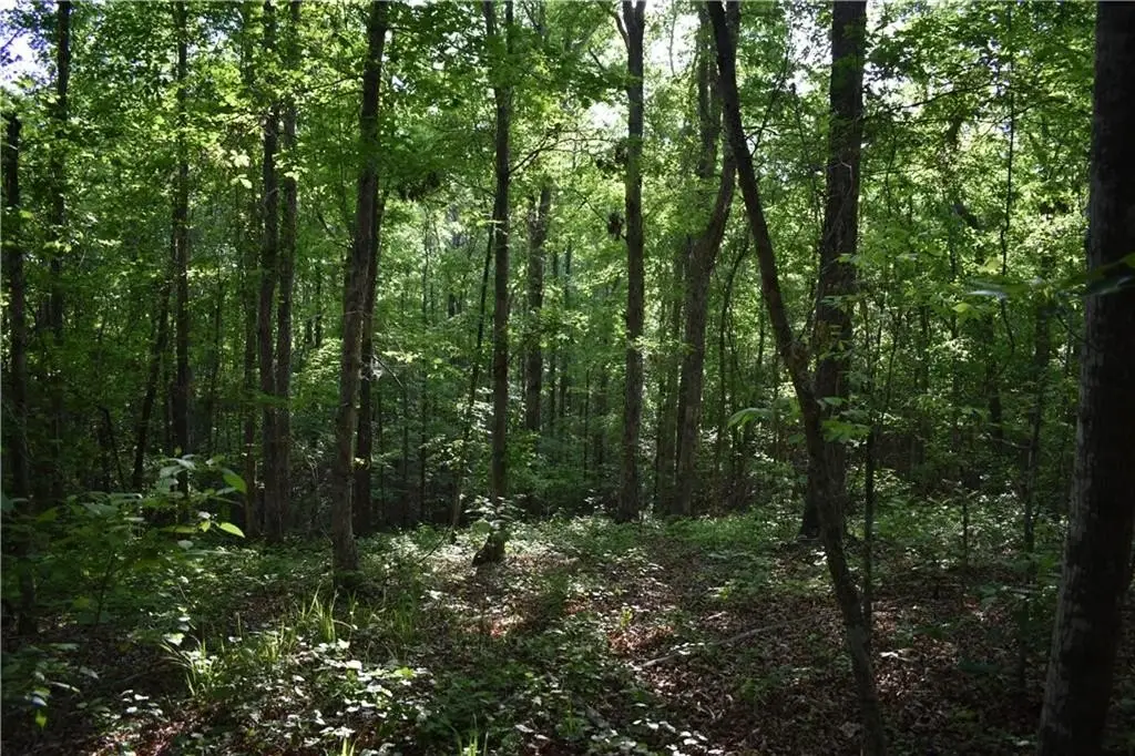 Picture 8