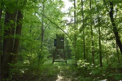 76 Acres Land in Camp Hill