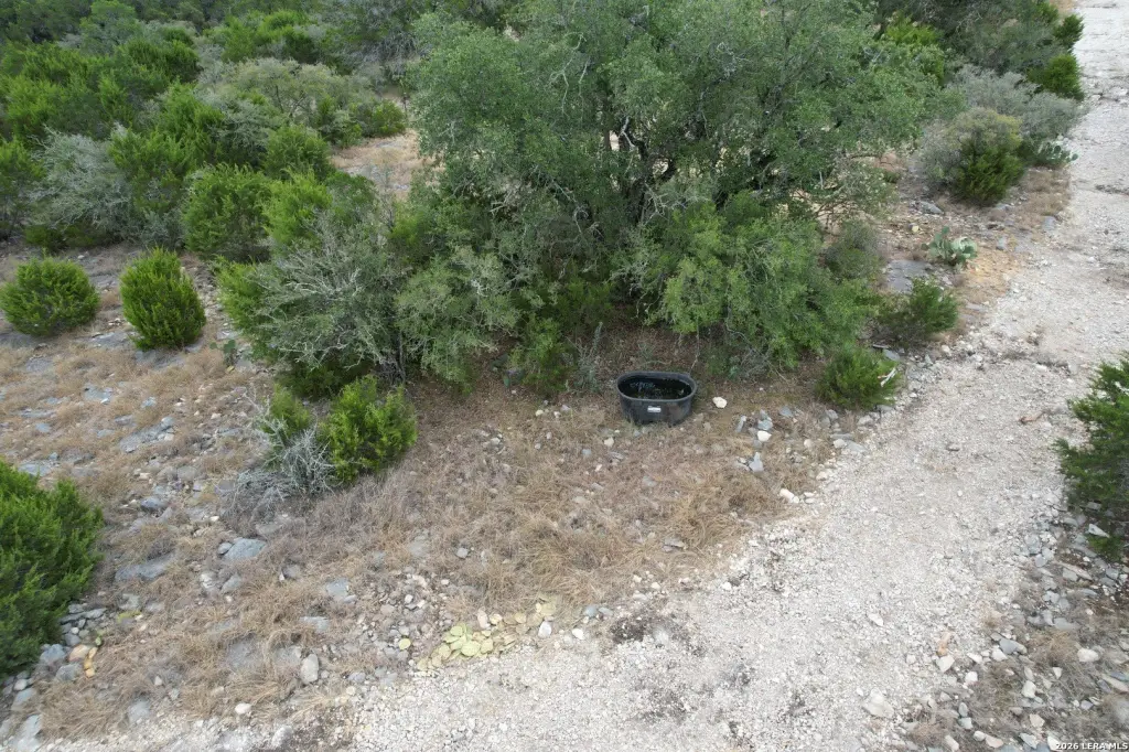 Picture 32