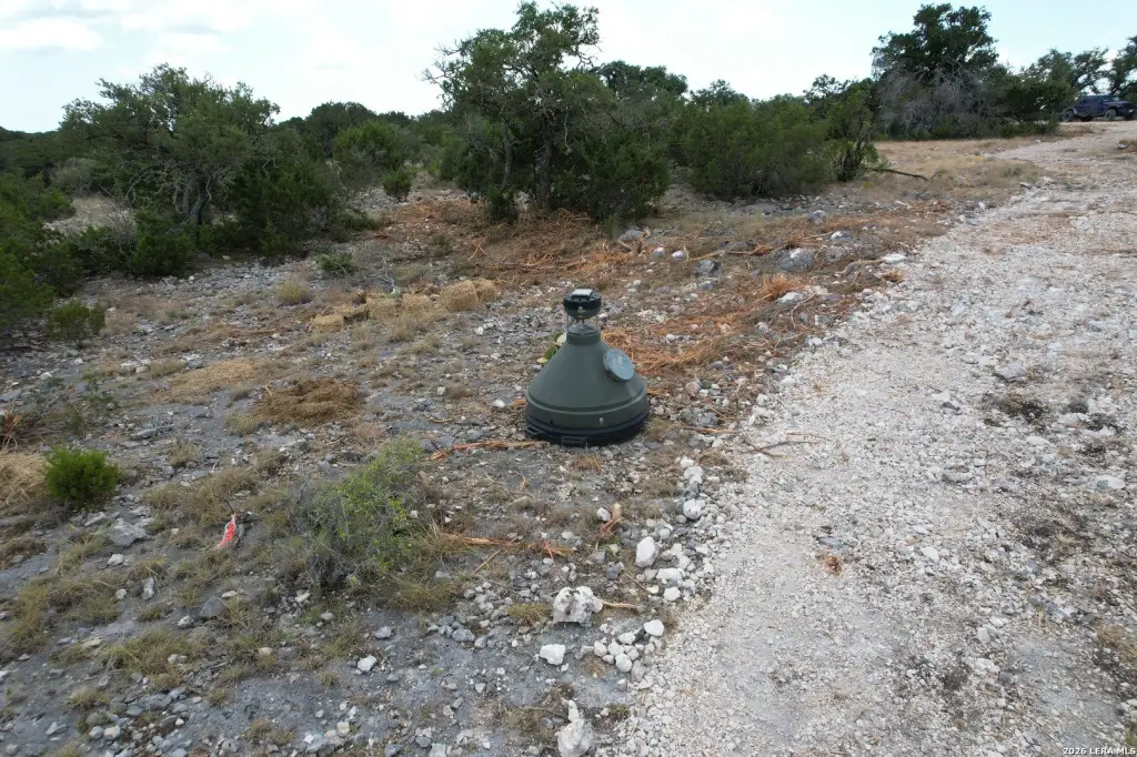Picture 31