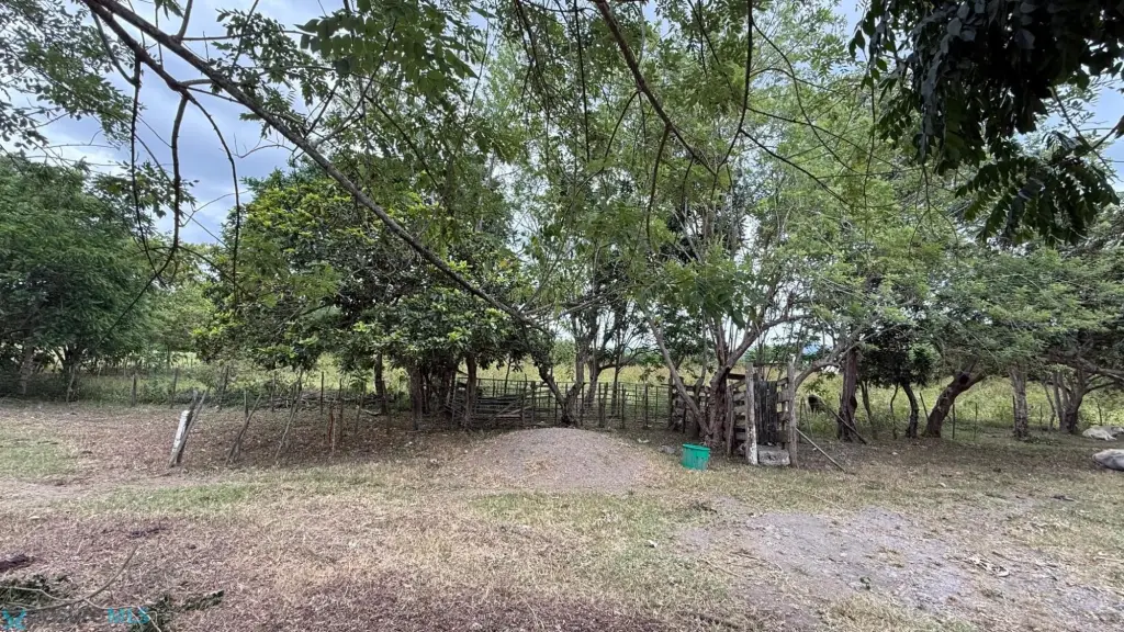 Picture 3