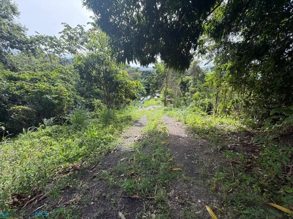 Picture 18